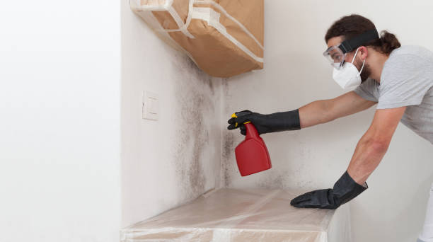 Professional Commercial Mold Remediation technician working in Warfield, VA