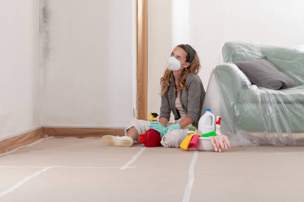 Reliable Commercial Mold Remediation contractor in Warfield, VA by 24 Hour Mold Removal