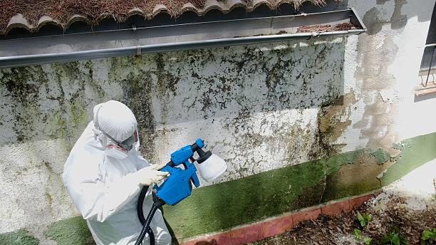 Top rated local Commercial Mold Remediation specialists in Warfield, VA